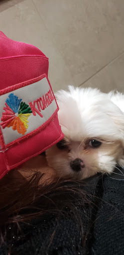 Pet Supply Store «PetSmart», reviews and photos, 860 Cobb Pl Blvd NW, Kennesaw, GA 30144, USA