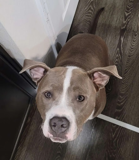 Explore male thigh tattoo ideas, creative tattoo ideas in Conroe, available at Monsters Ink, LLC