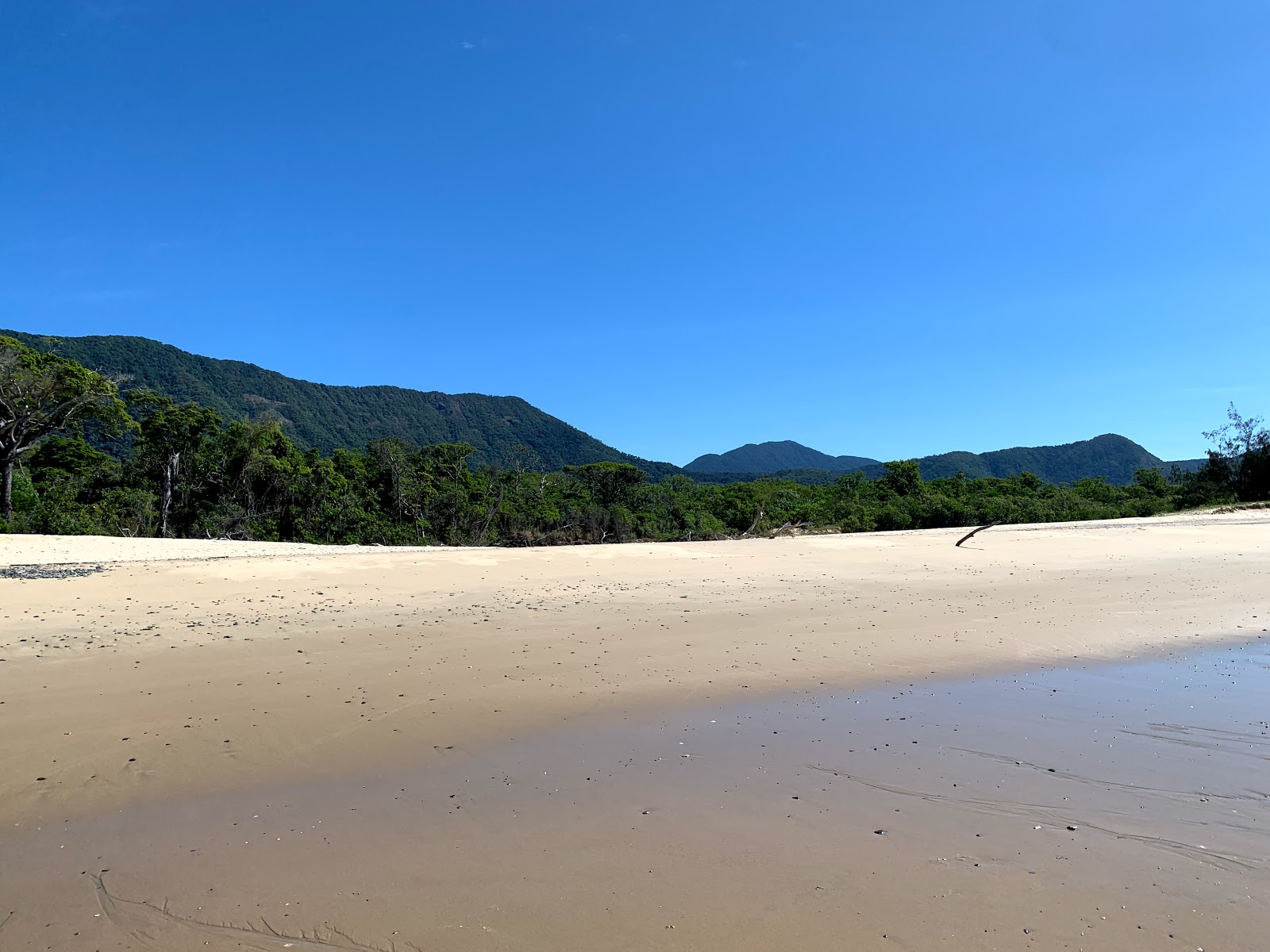 Wangetti Beach'in fotoğrafı - rahatlamayı sevenler arasında popüler bir yer