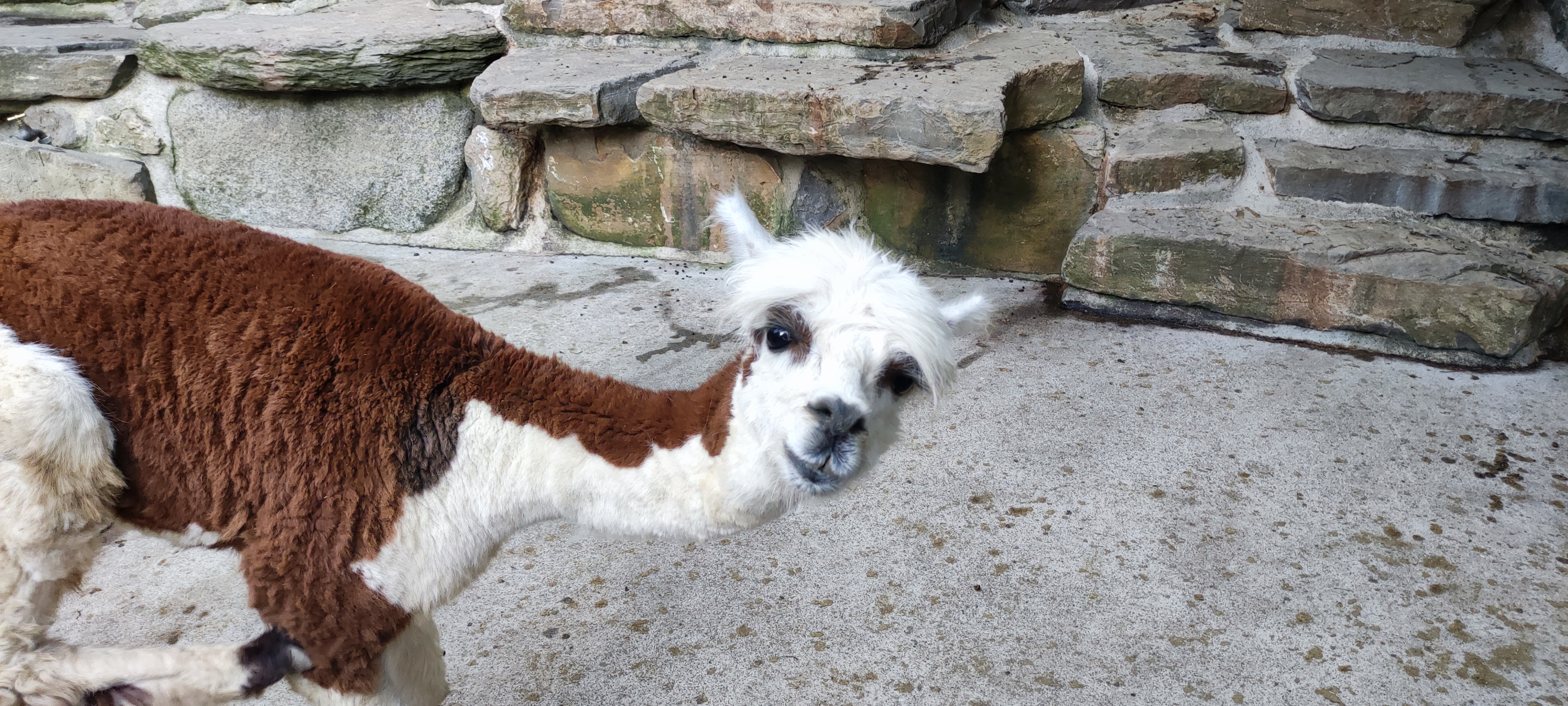 Photo n° 9 de l'avis de Aurélie.i fait le 15/07/2021 à 17:00