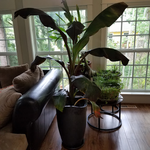 Florist «Passionflower Design», reviews and photos, 128 E Broadway, Eugene, OR 97401, USA