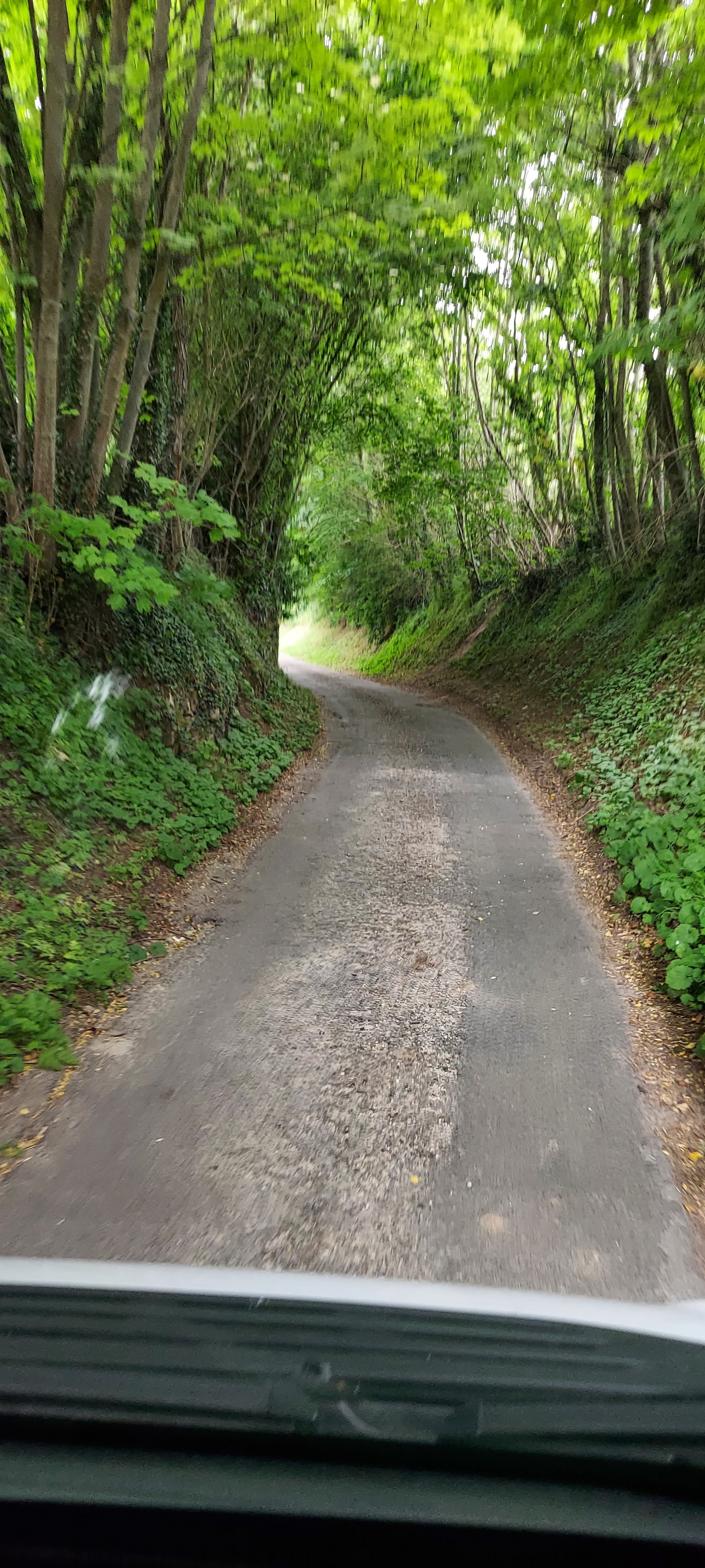 Photo n° 10 de l'avis de Cathe.f fait le 12/07/2019 à 14:39