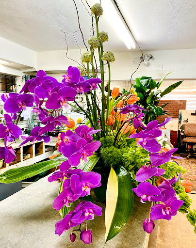 Florist «Moates Florist», reviews and photos, 5034 N Nebraska Ave, Tampa, FL 33603, USA