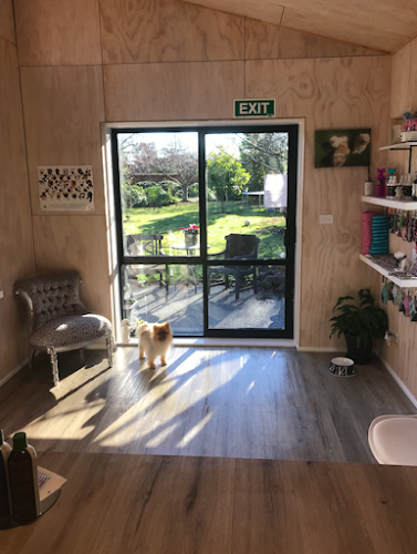 Reviews of Luxe Doggy Day Spa in Rolleston - Other