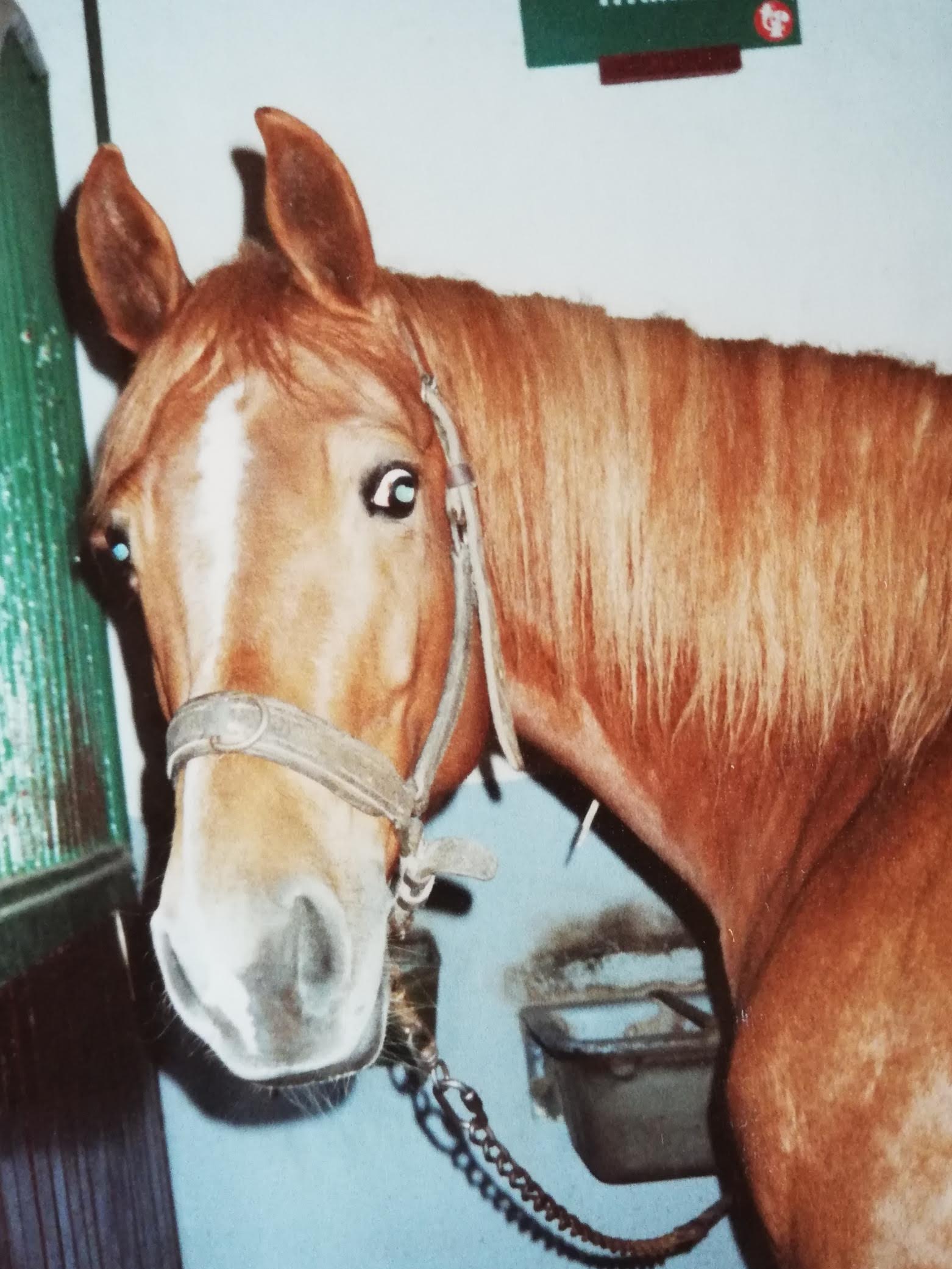 Photo n° 8 de l'avis de florence.u fait le 03/02/2021 à 13:24