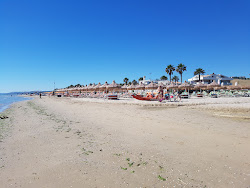 Photo de Plage de Cologna avec rivage droit, long