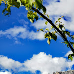 Photo n°1 de l'avis de Renato.e fait le 02/01/2020 à 02:18 sur le  Hotel Alpi à Campitello di Fassa