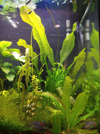 Pet Store «Red Hill Pet Center», reviews and photos, 1566 4th St, San Rafael, CA 94901, USA