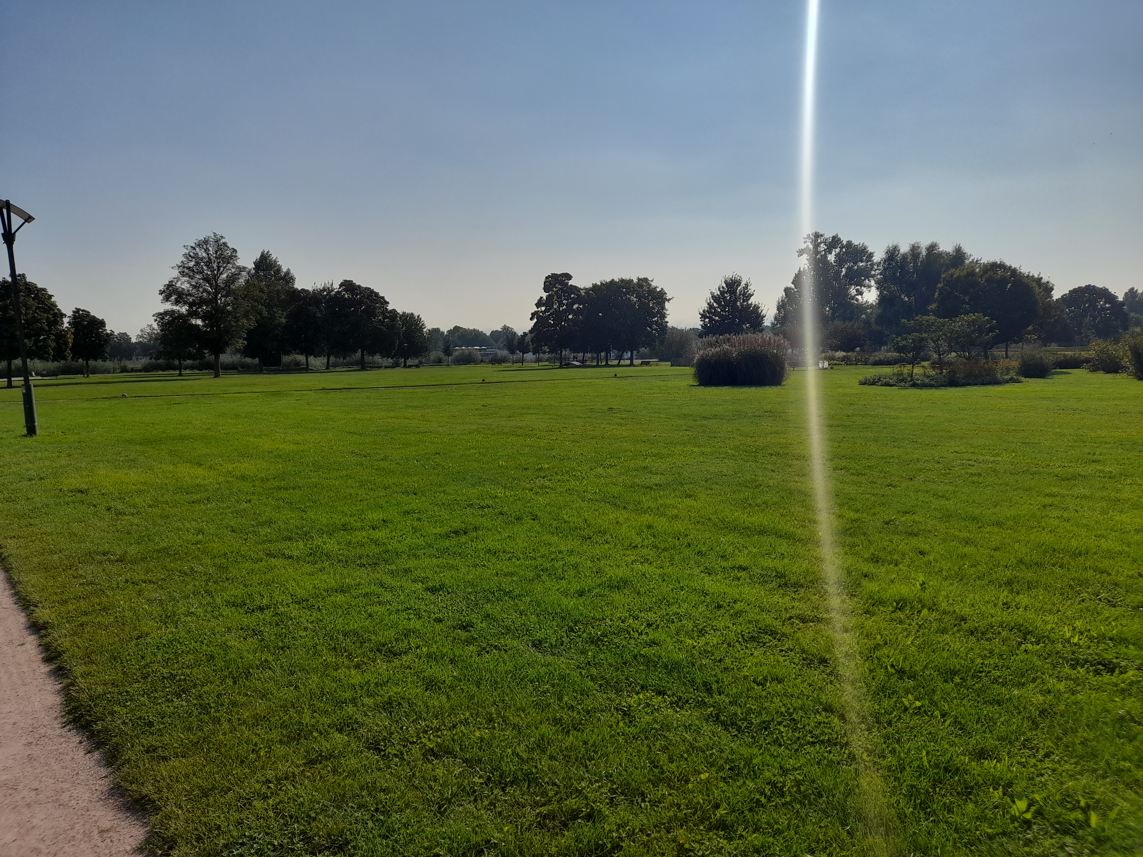 Photo n° 1 de l'avis de Monsieur.y fait le 21/09/2021 à 13:21