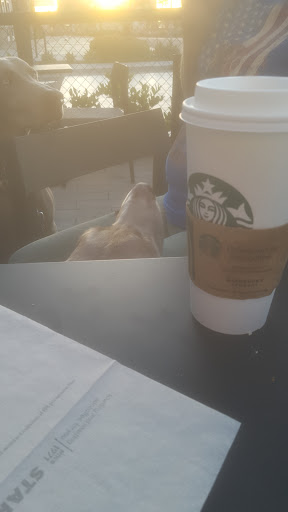 Starbucks image