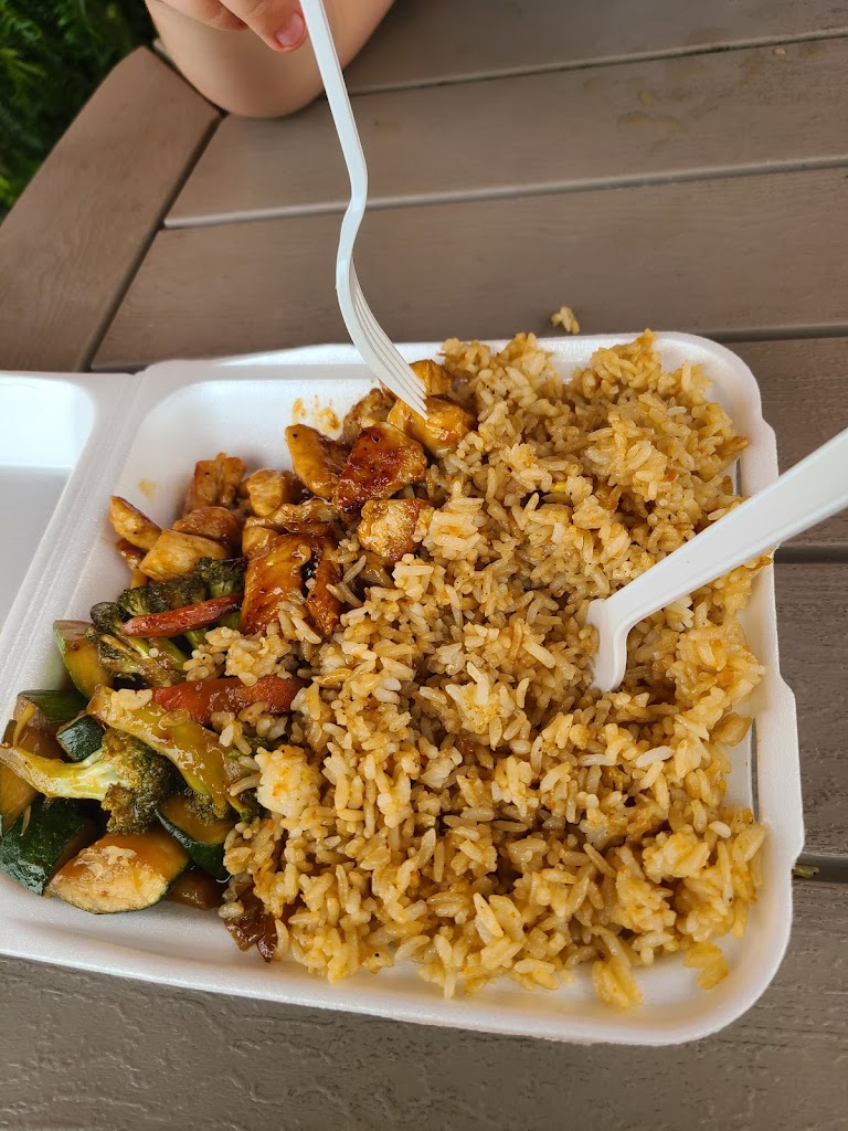 Two Guys Hibachi Express 72110