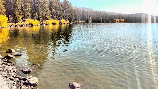 National Forest «Umpqua National Forest», reviews and photos, 1121 Houser Ct, Idleyld Park, OR 97447, USA