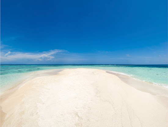 Bean Point beach
