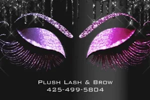 Plush Lash and Brow (located in Issaquah) image