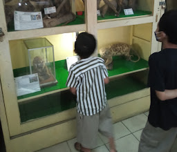 Museum of Biology UGM photo