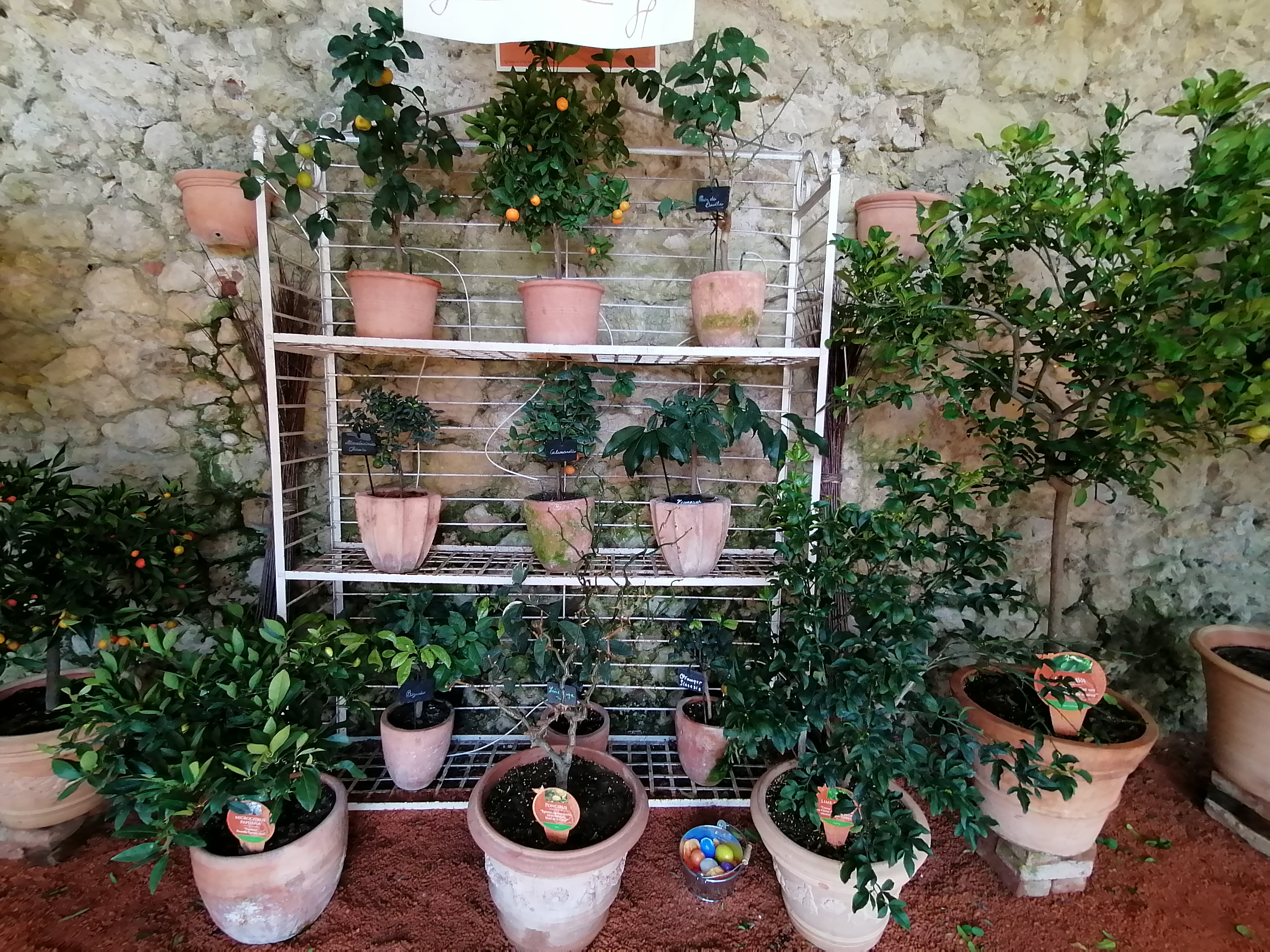 Photo n° 7 de l'avis de Muriel. fait le 19/04/2023 à 17:19