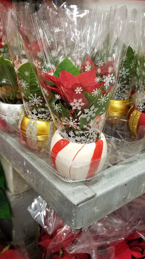 Home Improvement Store «The Home Depot», reviews and photos, 1000 Vision Dr, Apex, NC 27523, USA