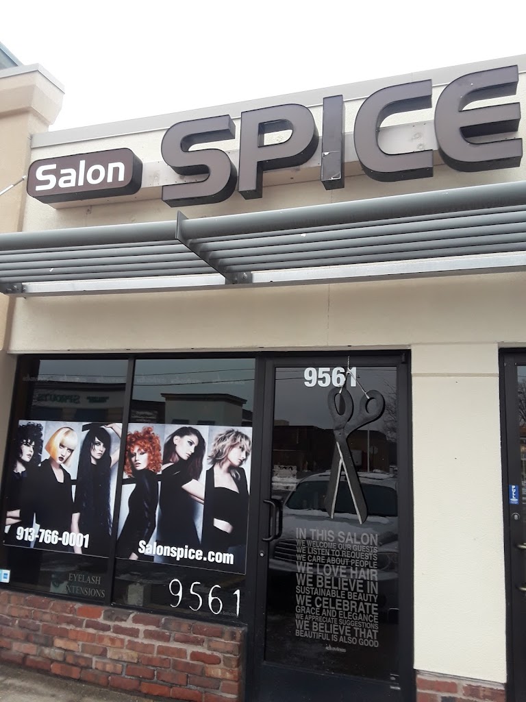 Salon Spice 66207