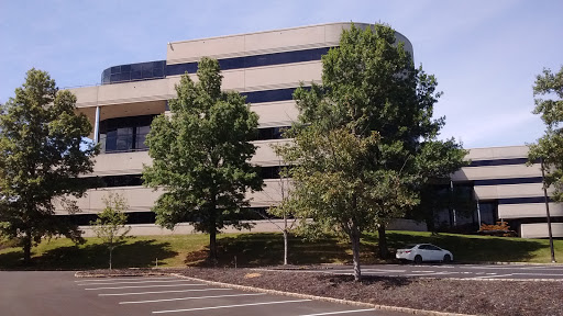 Insurance Company «Plymouth Rock Assurance», reviews and photos