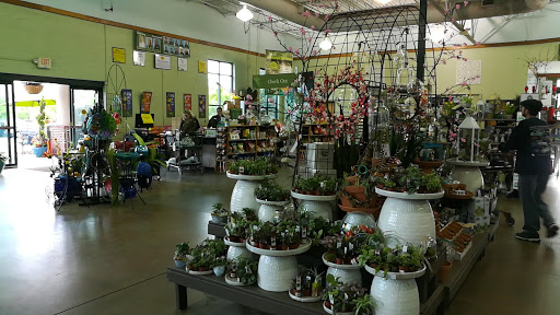 Garden Center «Pike Nurseries», reviews and photos, 615 W Crossville Rd, Roswell, GA 30075, USA