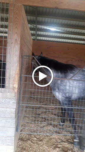 Casino «Evangeline Downs Racetrack & Casino», reviews and photos, 2235 Cresswell Lane Extension, Opelousas, LA 70570, USA