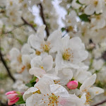 Photo n°7 de l'avis de Regi.n fait le 21/04/2024 à 21:51 sur le  Hirsch Hüttenreute Landgasthof à Hoßkirch