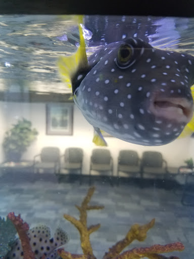 Ford Dealer «Folsom Lake Ford», reviews and photos, 12755 Folsom Blvd, Folsom, CA 95630, USA