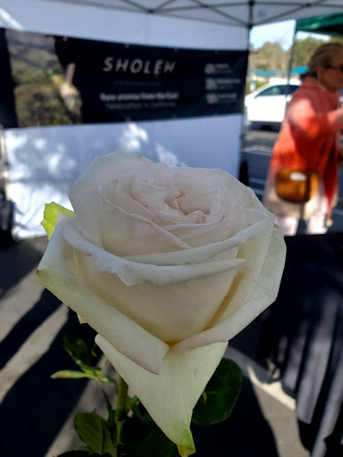 Irvine Farmers Market image
