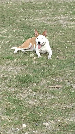 Park «Southside Park», reviews and photos, Southside Park Loop, Beaufort, SC 29902, USA