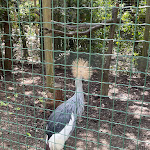 Photo n°8 de l'avis de Lucilla.z fait le 12/05/2023 à 16:36 sur le  Parc Gallorose à Loc. Cedrino