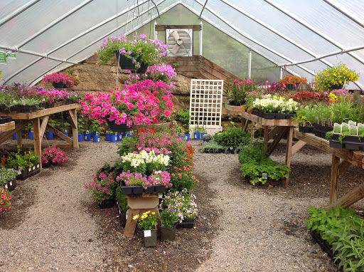 Garden Center «Victoria Gardens», reviews and photos, 1 Cottekill Rd, Rosendale, NY 12472, USA