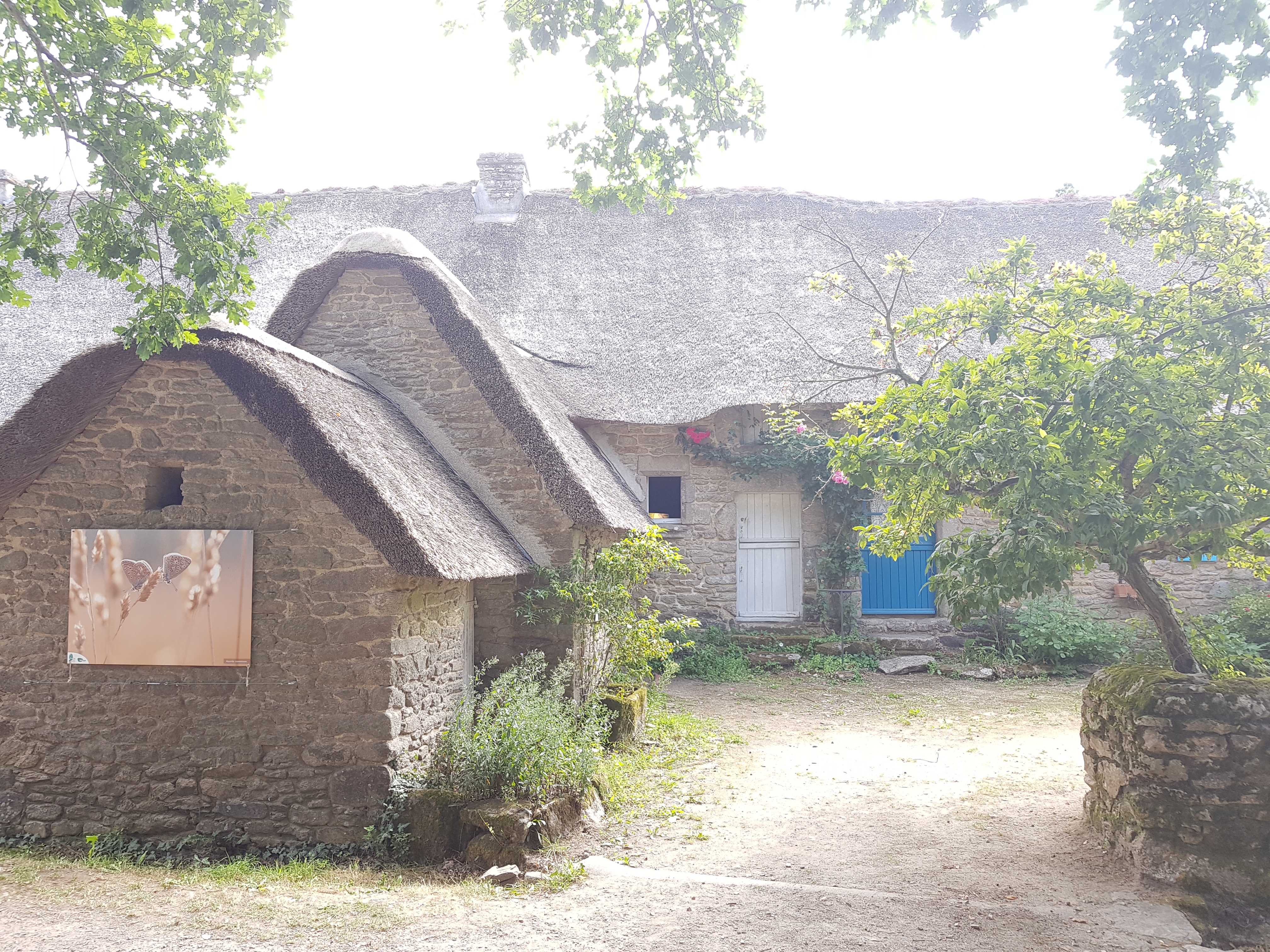 Photo n° 1 de l'avis de Audrey.p fait le 25/08/2018 à 06:37