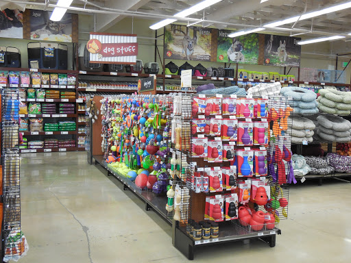 Pet Food Express image