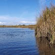 North Landing River Natural Area Preserve