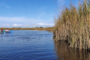North Landing River Natural Area Preserve