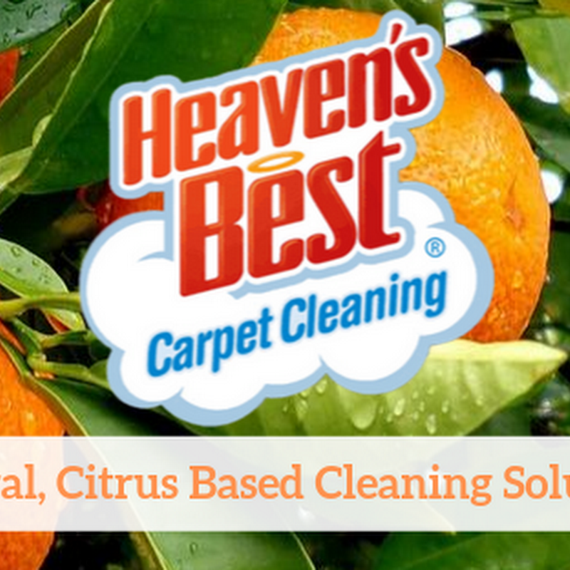 Heavens Best Carpet Cleaning