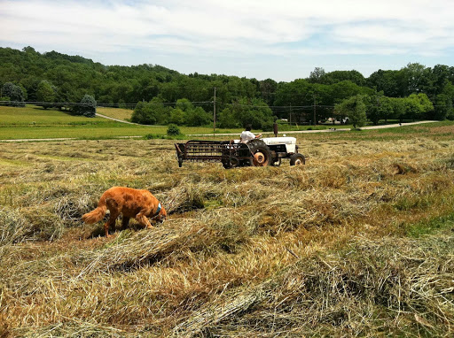 Health Food Store «Frankferd Farms Foods, Inc.», reviews and photos, 717 Saxonburg Blvd, Saxonburg, PA 16056, USA