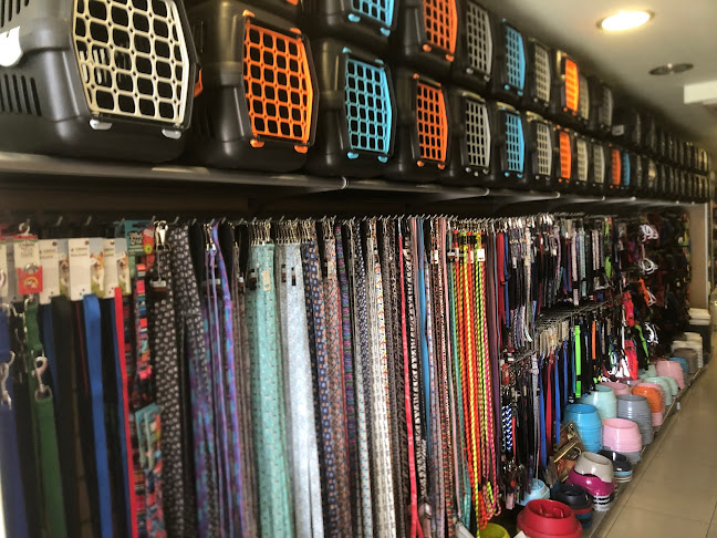 Κτηνιατρικό Κέντρο Αμαζόνιος - Κτηνίατρος