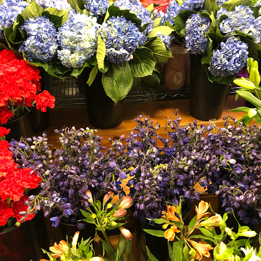 Florist «Cypress Gardens Flower Shop», reviews and photos, 10691 SW 72nd St, Miami, FL 33173, USA