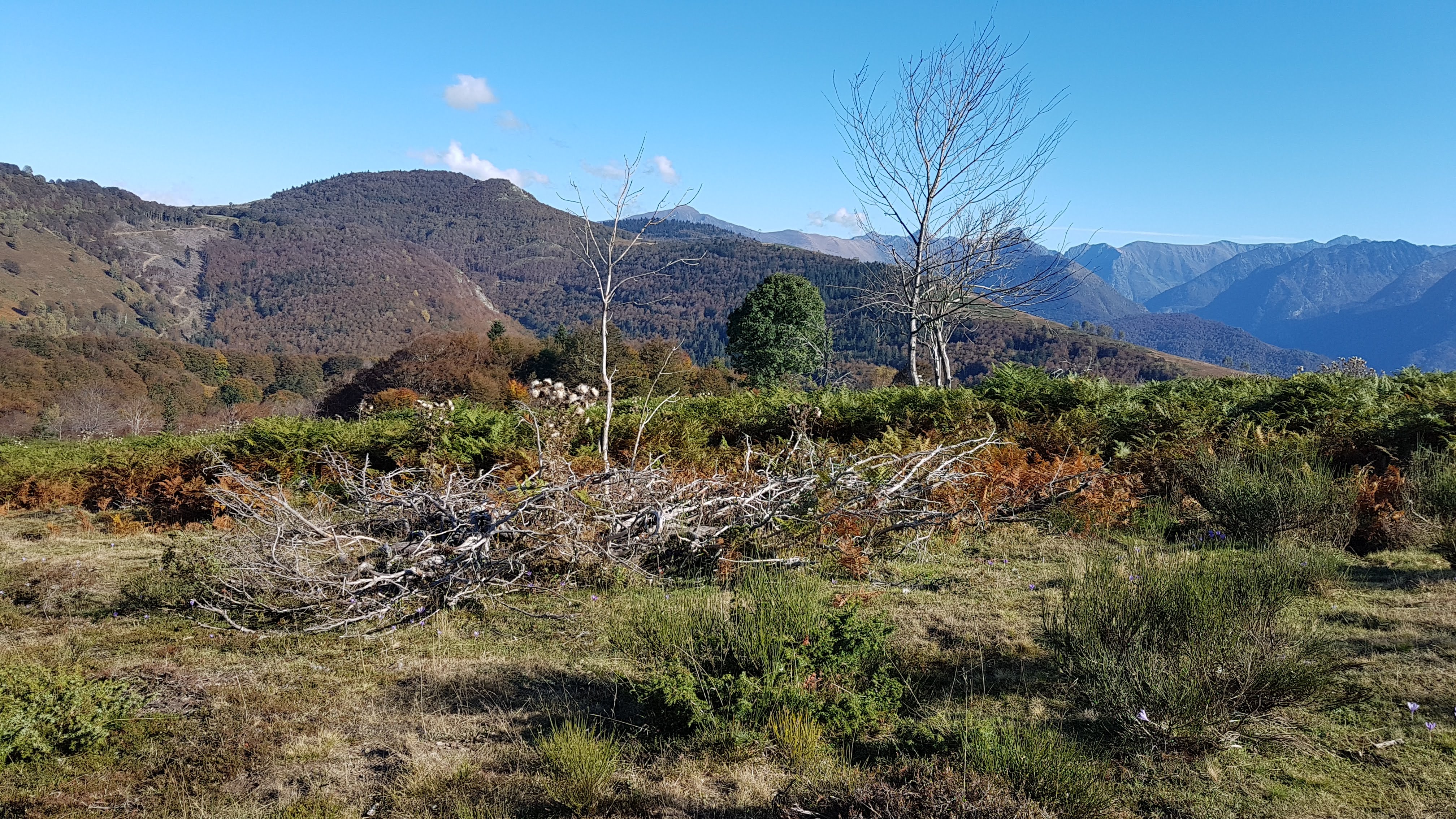 Photo n° 1 de l'avis de Joël.E fait le 16/12/2018 à 12:28