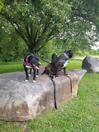 Dog Park «Rock Hill District Park», reviews and photos, 15150 Old Lee Rd, Chantilly, VA 20151, USA