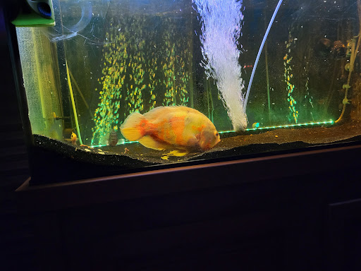 Pet Supply Store «Pet Supplies Plus», reviews and photos, 2100 W Grand River Ave, Okemos, MI 48864, USA