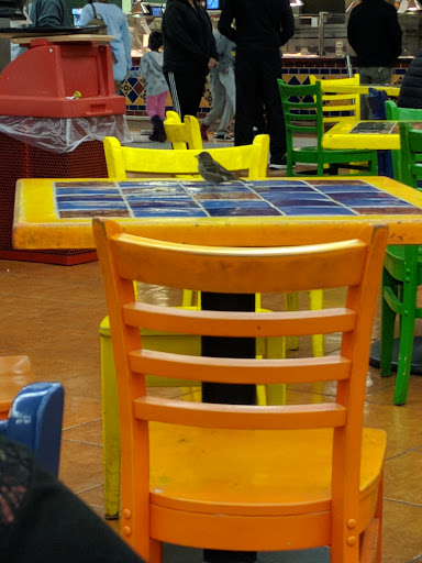 Grocery Store «Mi Pueblo Food Center», reviews and photos, 2100 Railroad Ave, Pittsburg, CA 94565, USA