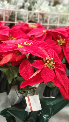 Craft Store «Michaels», reviews and photos, 2500 W International Speedway Blvd, Daytona Beach, FL 32114, USA