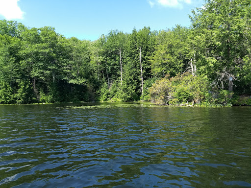 Canoe & Kayak Tour Agency «Main Stream Canoes & Kayaks/ SUP /OutDoor Z llc», reviews and photos, 170 Main St, New Hartford, CT 06057, USA