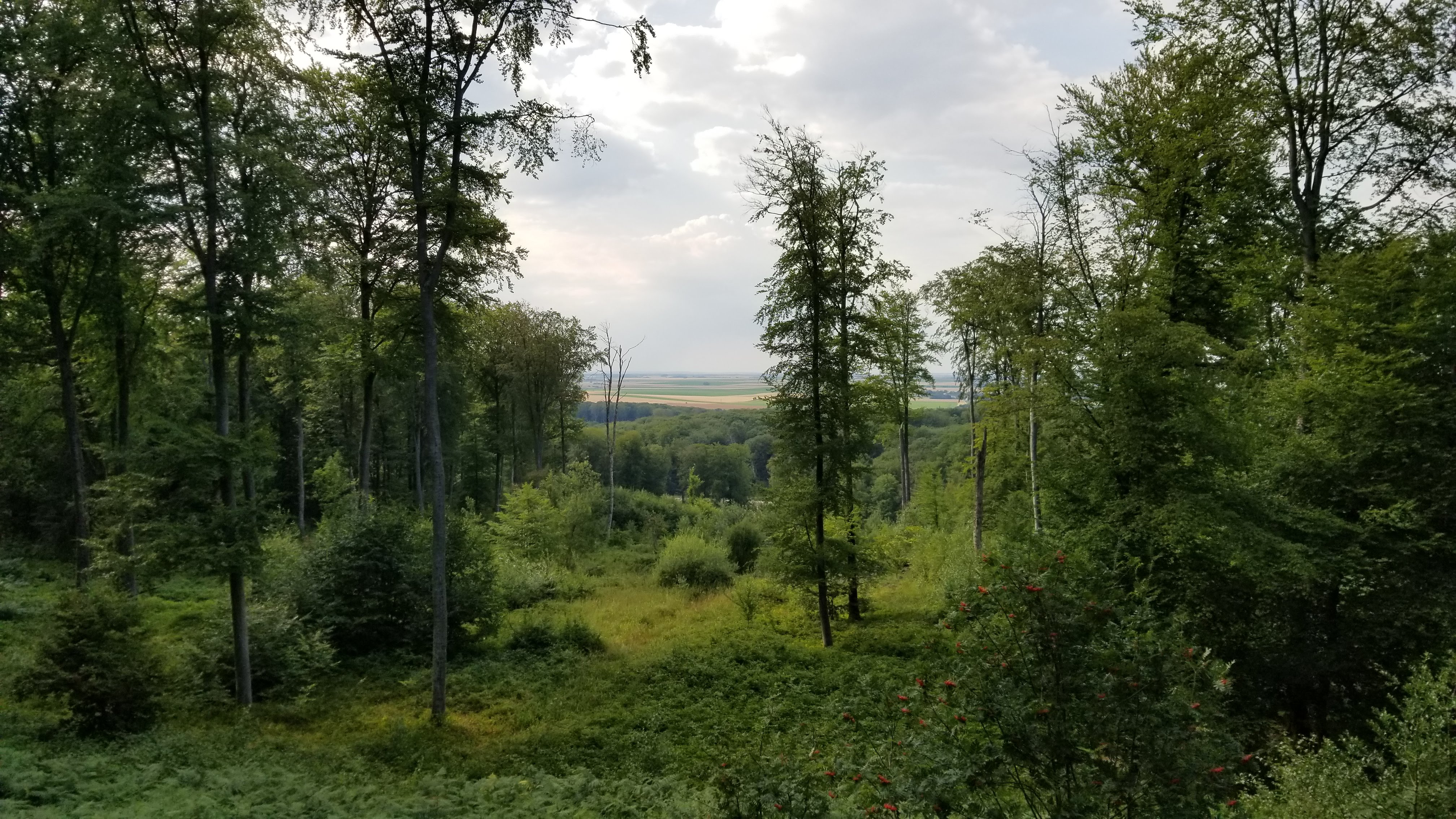 Photo n° 1 de l'avis de Morgane.g fait le 26/07/2018 à 10:26