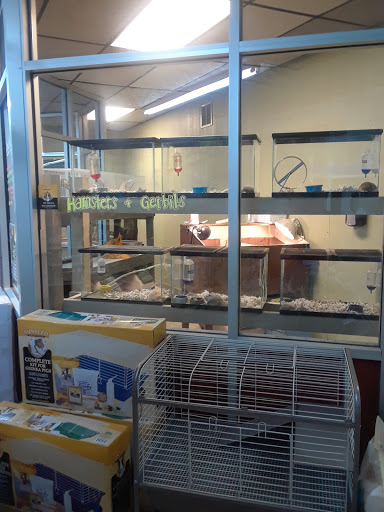 Pet Store «Southside Pet Shop», reviews and photos, 7031 Southside Dr, Louisville, KY 40214, USA