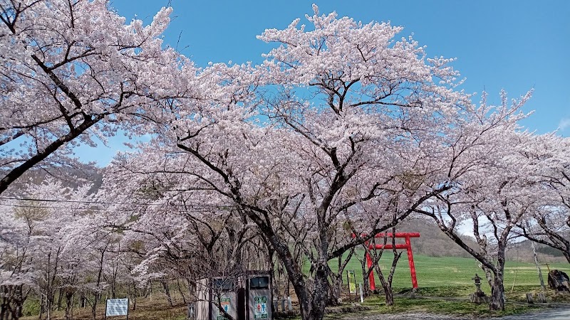 薬萊山桜並木
