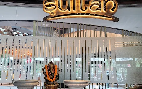 Sultan - Radisson Blu Kaushambi Delhi NCR image