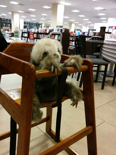 Book Store «Barnes & Noble», reviews and photos, 210 Americana Way, Glendale, CA 91210, USA